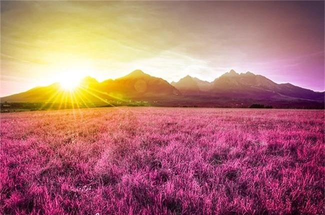 tiết lộ những bí ẩn về trái đất khiến bất cứ ai cũng "giật mình" hình 10 tiet lo nhung bi an ve trai dat khien bat cu ai cung "giat minh" hinh 10