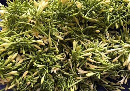 Loại hoa thường cắt bỏ đi sấy khô thành đặc sản 1,5 triệu/kg