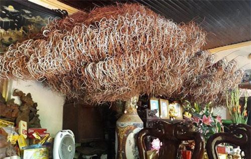 Dân mạng trầm trồ kinh ngạc với bát hương đầy ụ chân nhang, cao đụng nóc nhà của một gia đình tại Phú Thọ