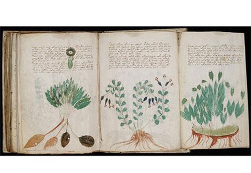 Top bí ẩn kinh dị, độc lạ kích thích tò mò của con người