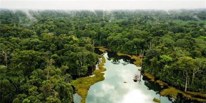 Dù bị cháy rụi nhưng 5 bí ẩn này của Amazon vẫn chưa có câu trả lời: Liệu con người có thể du lịch ở 1 nơi rộng lớn như vậy không? - Ảnh 8.