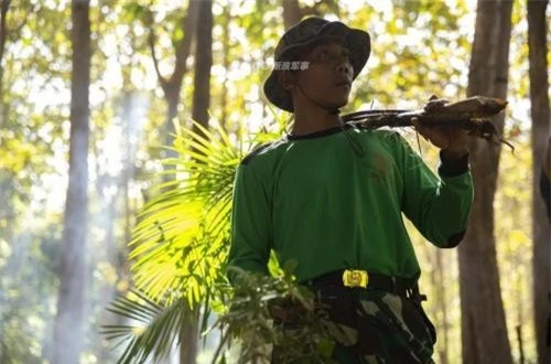 Đây là kỹ năng vô cùng quý giá bởi trong rừng thiêng nước độc, nếu ăn nhầm hoa quả độc thì đó là sẽ thảm họa với những người bị lạc. Ảnh: Sina