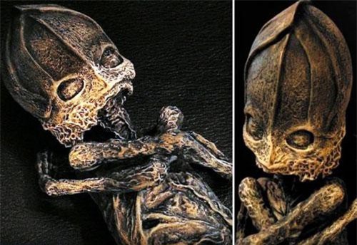 Bằng chứng chấn động về “người ngoài hành tinh” xuất hiện 1996