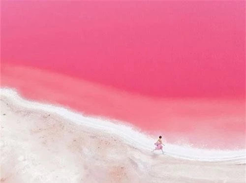 Vẻ đẹp kỳ diệu của tạo hóa với hồ nước màu hồng như cổ tích. Vẻ đẹp kỳ diệu của tạo hóa với hồ nước màu hồng như cổ tích.