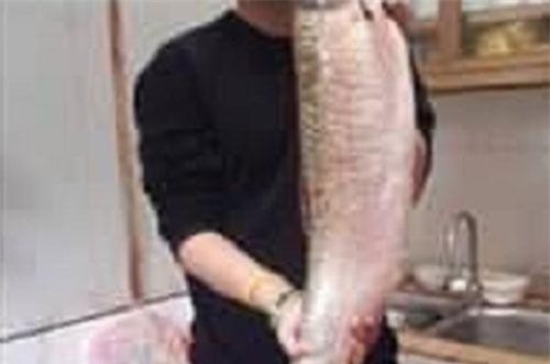 Phát hiện “chiếc sừng” bị cắm trên đầu khi chồng gửi ảnh khoe câu được con cá to