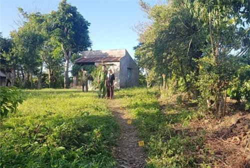 NHỮNG VỤ ÁN RÚNG ĐỘNG DƯ LUẬN TUẦN QUA: Người phụ nữ 60 tuổi sát hại người tình khi cãi nhau, bị đánh chết sau va chạm giao thông