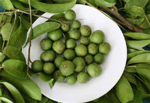 Bất ngờ công dụng sức khỏe của loại quả tưởng chỉ làm ô mai