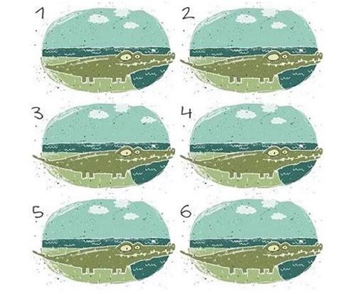 Câu đố thách thức khả năng tập trung của bạn