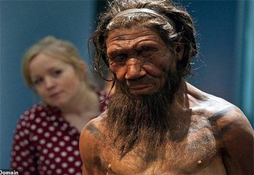 Hài cốt cổ đại tiết lộ vị tổ tiên “người cá” của chúng ta