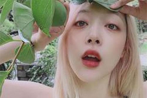 Sau 2 năm lẻ bóng Sulli công khai mẫu bạn trai lý tưởng 