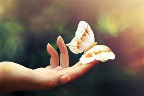 Tích vàng chỉ dành cho vài năm, tích điều này mới để mãi muôn đời