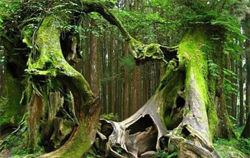 Top 5 địa điểm chứa nhiều bí ẩn nhất thế giới