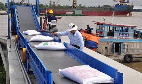 Tìm đường mới cho xuất khẩu gạo