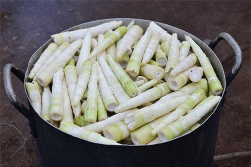 Mách bạn 5 mẹo luộc măng tươi cực chuẩn, không lo bị đắng và độc