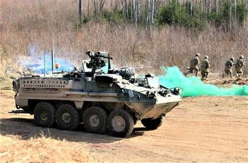 M1126 Stryker trong một buổi diễn tập. Nguồn ảnh: strategic-bureau.com.