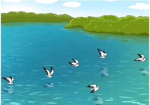 Ảnh: 7-second riddles. Ảnh: 7-second riddles.