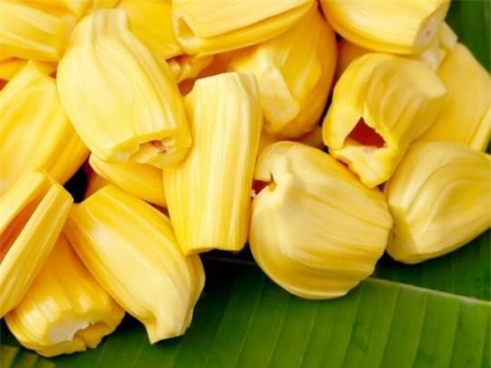 Cách chọn mít chín cây ngon, tránh ngậm hóa chất