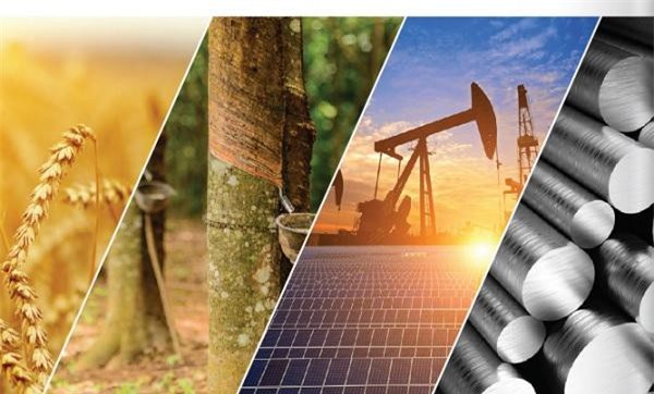 MXV gián tiếp đưa thị trường Việt Nam tiến tới các chuẩn quốc tế về hàng hóa thương mại