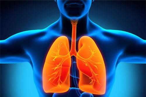 Những biện pháp thải độc phổi đơn giản, hiệu quả nhất cho người hút thuốc