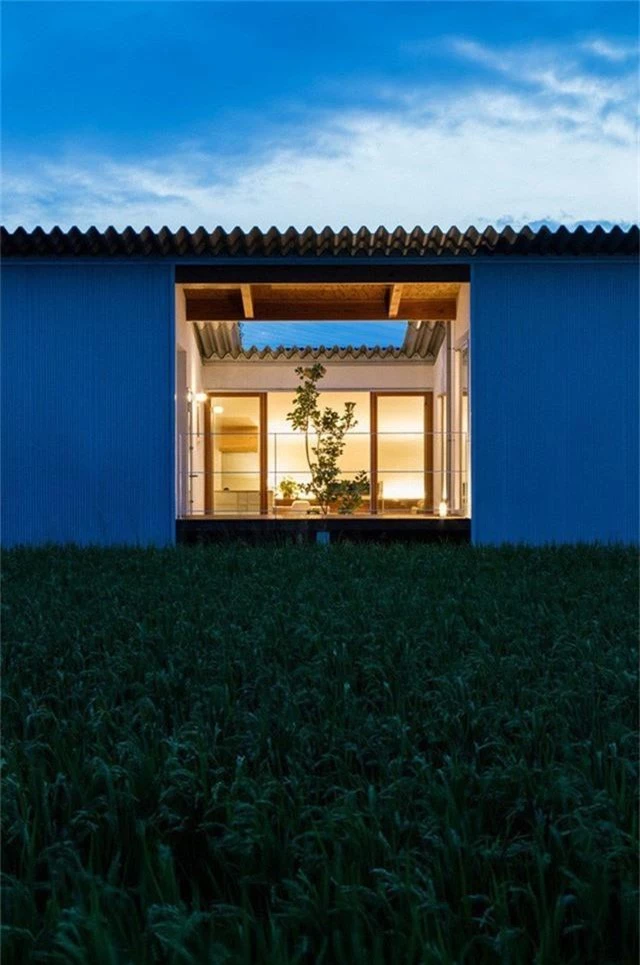 Nhà cấp 4 thiết kế cực tinh tế được xây giữa đồng lúa xanh, khung cảnh vừa đẹp vừa nên thơ - Ảnh 2.