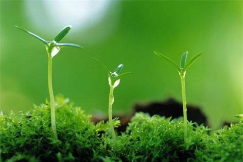 Trong nhà đột nhiên xuất hiện 1 trong 5 dấu hiệu này thì chúc mừng bạn, bởi may mắn đang 'gõ cửa'