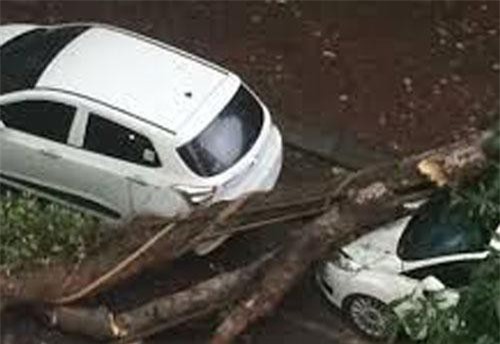 Mưa dông kinh hoàng ập đến, Hà Nội "trở tay không kịp"