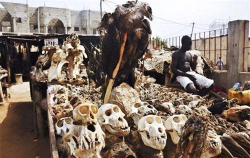 Những bí ẩn bên trong khu chợ bùa ngải lớn nhất thế giới