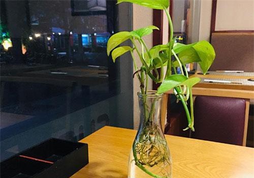 Bẫy tình hoàn hảo của kẻ Sở Khanh gắn mác thực tập sinh