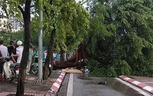 Bão số 4 suy yếu thành áp thấp nhiệt đới làm hàng chục nhà tốc mái, 1 người thiệt mạng