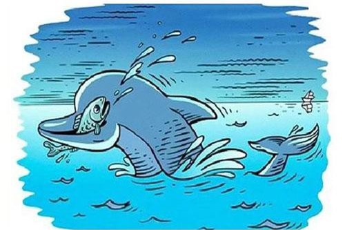 Sinh vật bí ẩn nào khác đang săn mồi cùng cá heo?