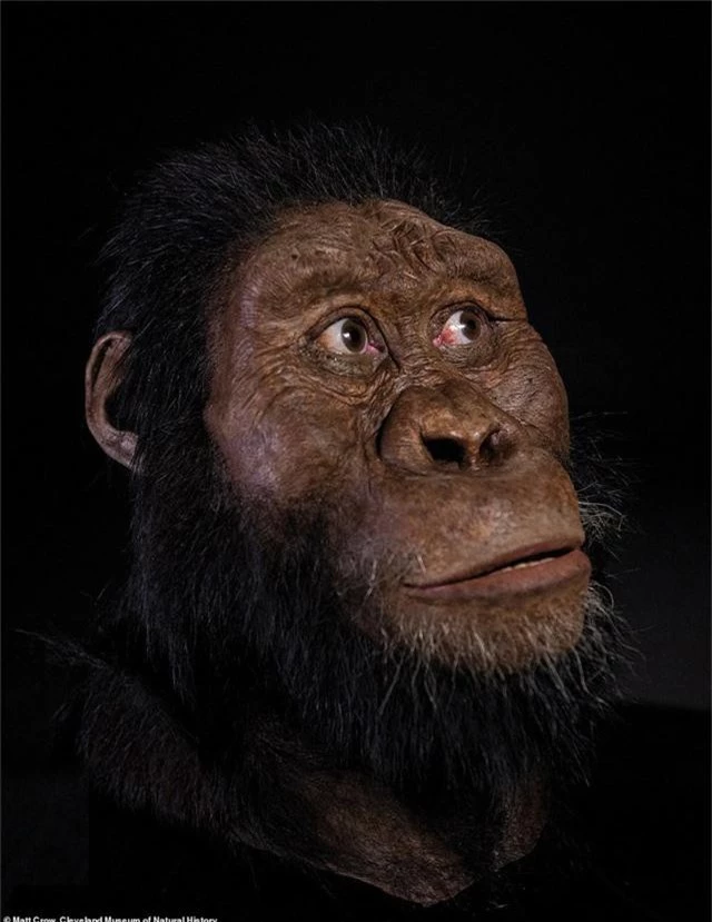 Khuôn mặt tổ tiên lâu đời nhất của con người lần đầu được tiết lộ - Ảnh 1.