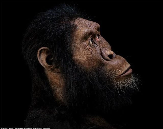 Khuôn mặt tổ tiên lâu đời nhất của con người lần đầu được tiết lộ - Ảnh 2.