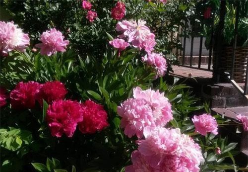 Tâm sự của người phụ nữ ngoại tình, hạnh phúc tan vỡ