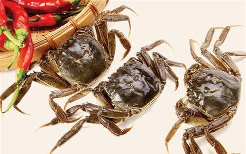 Dùng cua đồng theo cách này chữa bệnh xương khớp tốt 'gấp tỷ lần' thuốc tây