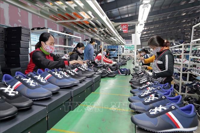 CPTPP chưa nhận được sự quan tâm đúng mức của nhiều doanh nghiệp