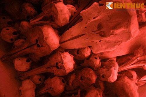 Hàng chục bộ xương kỳ lạ trong ngôi đình cổ