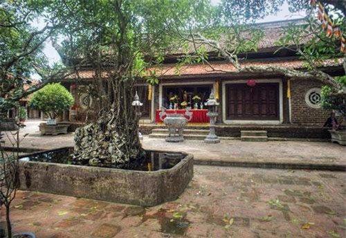 Ngôi chùa lưu giữ bộ sưu tập tượng cổ đặc sắc nhất Việt Nam