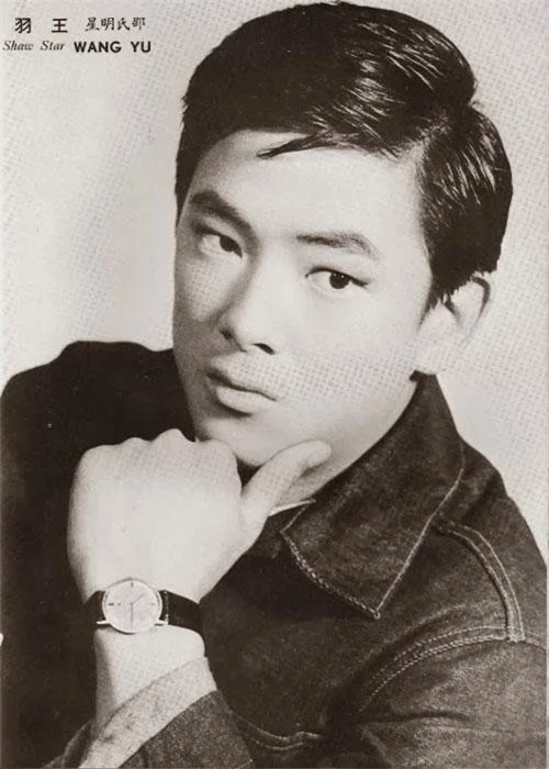 Vương Vũ được mệnh danh là vua võ thuật thế hệ đầu làng phim Hong Kong. Gần 50 năm hoạt động, ông được nhiều thế hệ diễn viên tôn kính nhờ danh tiếng có được trong vai trò diễn viên  đạo diễn, biên kịch và cả giám chế cho hơn 80 bộ phim.