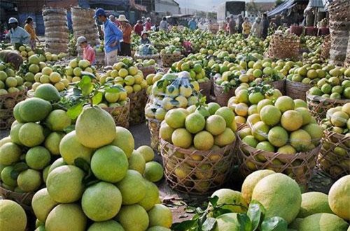 Tâm huyết đưa trái cây Việt chinh phục các thị trường khó tính