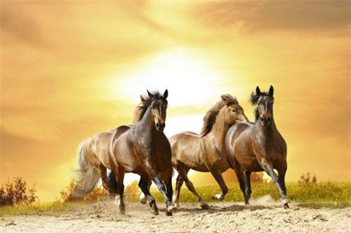 3 con giáp ngồi không cũng có tiền rơi vào người trong 90 ngày tới