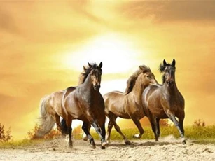 3 con giáp ngồi không cũng có tiền rơi vào người trong 90 ngày tới