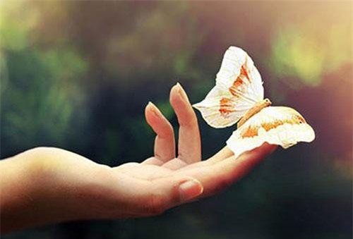 29 câu nói thay đổi số phận của mỗi con người