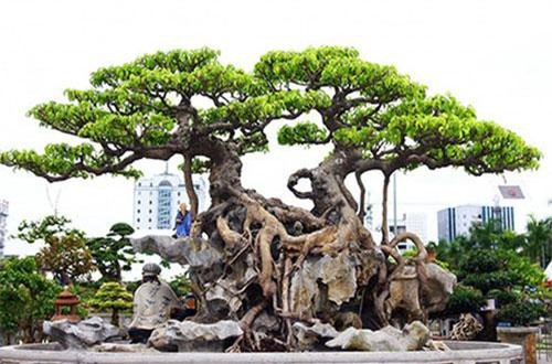 5 điều giúp bạn may mắn gặp được quý nhân