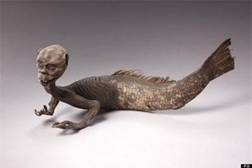 Quái đản xác chết dị hợm của nàng tiên cá khiến TG điên đảo