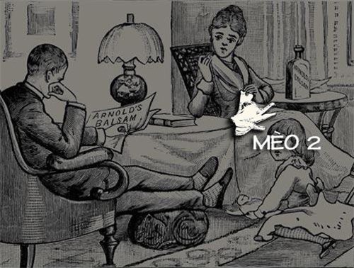 Hai con mèo ẩn nấp ở đâu trong ảnh này?