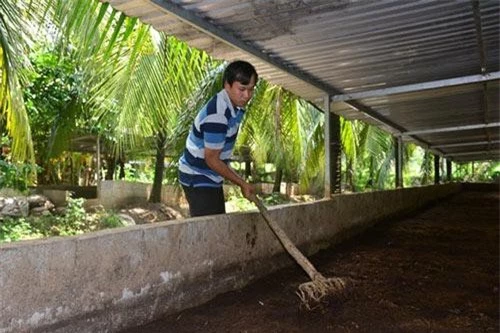 Anh Vinh từ bỏ công việc mức lương hàng chục triệu đồng ở TP.HCM để về quê khởi nghiệp nuôi trùn quế.
