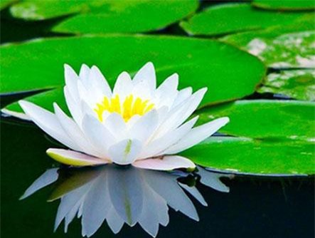 Trong đời có 7 điều cần phải "nhẫn" để đại thành công