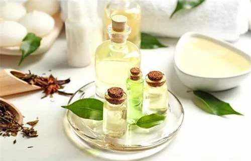 Tinh dầu trà xanh - Nhỏ 15 giọt tinh dầu trà xanh vào 30ml dầu dẫn (dầu dừa hoặc dầu jojoba), sau đó xoa hỗn hợp này lên da đầu và toàn bộ mái tóc, để ít nhất 1 tiếng rồi gội sạch. “Đắp mặt nạ” này 2-3 lần/tuần cho mái tóc của bạn.