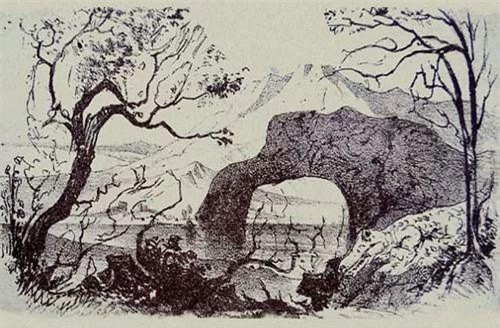 Nhiều người không thấy 9 con vật trong ảnh, còn bạn?