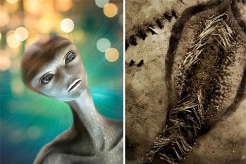 Phát hiện ‘ổ trứng người ngoài hành tinh’ dạt vào bờ chấn động nước Anh